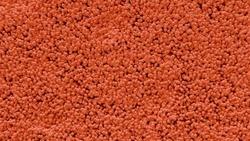 Заявка на торговельну марку № m202602428