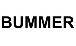 Заявка на торговельну марку № m202519336: bummer