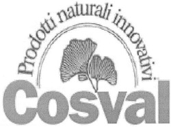 Свідоцтво торговельну марку № 78888 (заявка m200514494): cosval; prodotti naturali innovativi