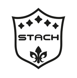 Заявка на торговельну марку № m202511870: stach