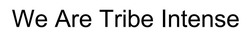 Заявка на торговельну марку № m202412577: we are tribe intense