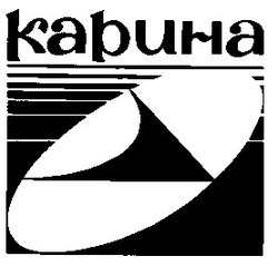 Заявка на торговельну марку № 94114150: карина kapuha