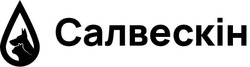 Заявка на торговельну марку № m202417597: салвескін