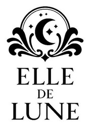 Заявка на торговельну марку № m202510256: elle de lune