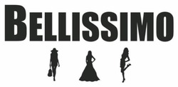 Заявка на торговельну марку № m202519383: bellissimo