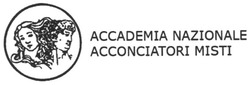 Заявка на торговельну марку № m200610248: accademia nazionale; acconciatori misti