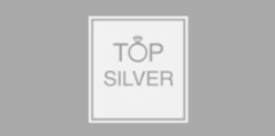 Свідоцтво торговельну марку № 337293 (заявка m202206651): top silver