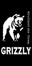 Свідоцтво торговельну марку № 27206 (заявка 2001074072): grizzly
