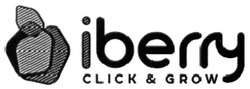 Свідоцтво торговельну марку № 248598 (заявка m201703460): iberry click&grow