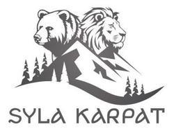 Заявка на торговельну марку № m202602262: syla karpat