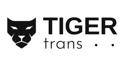 Заявка на торговельну марку № m202308142: tiger trans