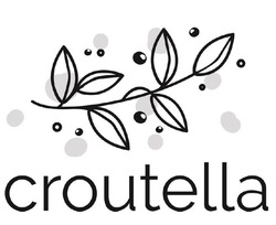 Заявка на торговельну марку № m202104706: croutella