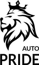 Заявка на торговельну марку № m202305857: auto pride