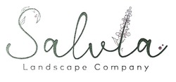 Заявка на торговельну марку № m202519402: landscape company; saluta