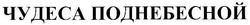 Свідоцтво торговельну марку № 98367 (заявка m200706062): чудеса поднебесной