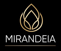 Заявка на торговельну марку № m202310342: mirandeia