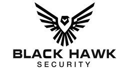 Заявка на торговельну марку № m202523056: black hawk security