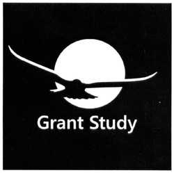 Свідоцтво торговельну марку № 284245 (заявка m201825794): grant study
