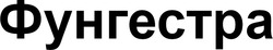 Заявка на торговельну марку № m202510171: фунгестра