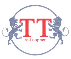 Свідоцтво торговельну марку № 328743 (заявка m202106671): тт; tt; red copper