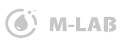 Заявка на торговельну марку № m201926492: m-lab