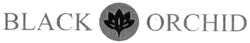Свідоцтво торговельну марку № 278239 (заявка m201810803): black orchid
