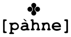 Заявка на торговельну марку № m202500867: []; [pahne]