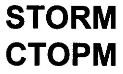Свідоцтво торговельну марку № 65585 (заявка 20040403980): storm; ctopm; сторм