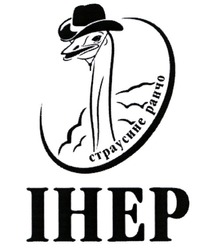 Заявка на торговельну марку № m202105868: ihep; інер; страусине ранчо