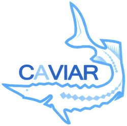 Заявка на торговельну марку № m201508594: caviar