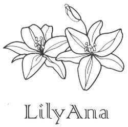 Заявка на торговельну марку № m202402039: lily ana; lilyana
