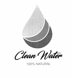 Свідоцтво торговельну марку № 314889 (заявка m201928643): clean water 100 natural