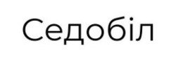 Заявка на торговельну марку № m202421150