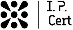 Заявка на торговельну марку № m202509756: і.р.; ір; ip; i.p. cert