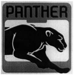 Свідоцтво торговельну марку № 309255 (заявка m201933034): panther