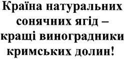 Свідоцтво торговельну марку № 154070 (заявка m201101677): країна натуральних сонячних ягід - кращі виноградники кримських долин!