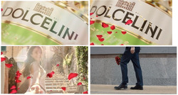 Заявка на торговельну марку № m202515954: dolcelini