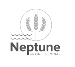 Свідоцтво торговельну марку № 261782 (заявка m201827969): neptune grain terminal