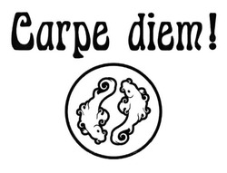 Свідоцтво торговельну марку № 189007 (заявка m201314370): carpe diem!