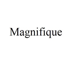 Заявка на торговельну марку № m202514469: magnifique