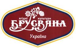 Свідоцтво торговельну марку № 205094 (заявка m201406566): ягідні культури; брусвяна; україна