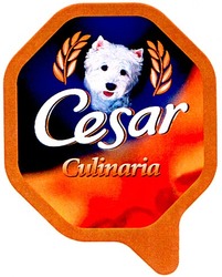 Свідоцтво торговельну марку № 64103 (заявка 20040808979): cesar; culinaria