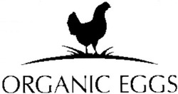 Свідоцтво торговельну марку № 153145 (заявка m201113623): organic eggs