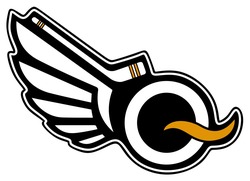 Заявка на торговельну марку № m202604892: q