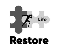 Заявка на торговельну марку № m202407848: life restore