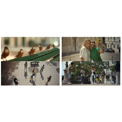 Заявка на торговельну марку № m202519415: jacobs