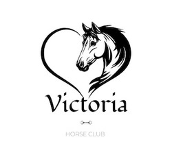 Заявка на торговельну марку № m202522911