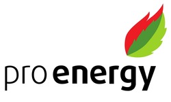 Заявка на торговельну марку № m202414521: pro energy