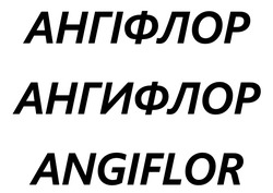 Заявка на торговельну марку № m202508450: ангифлор; ангіфлор; angiflor