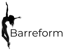 Заявка на торговельну марку № m202503020: barreform